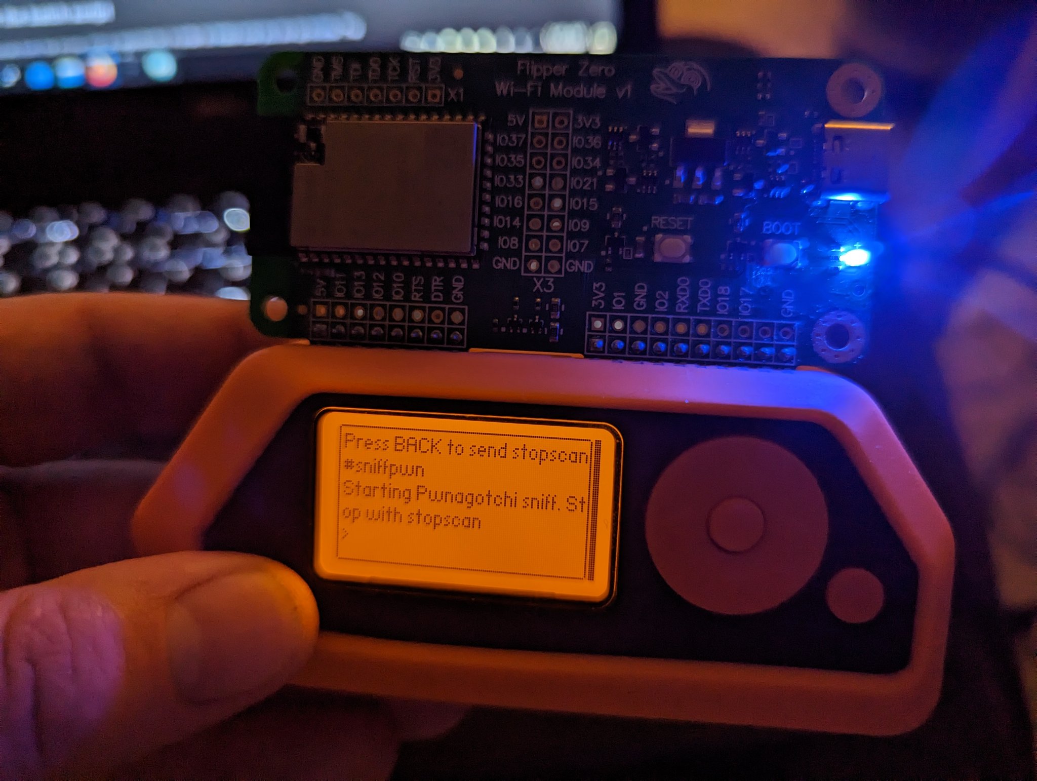 Fun things to try with your Flipper Zero (and wifi devboard